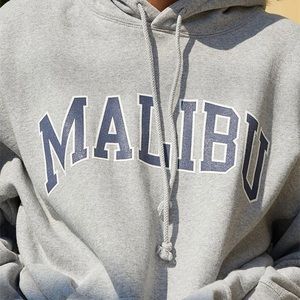 brandy melville grey malibu crew neck